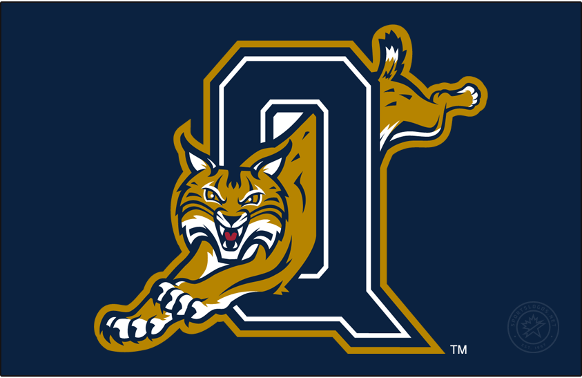 Quinnipiac Bobcats 2002-2017 Secondary Logo diy iron on heat transfer